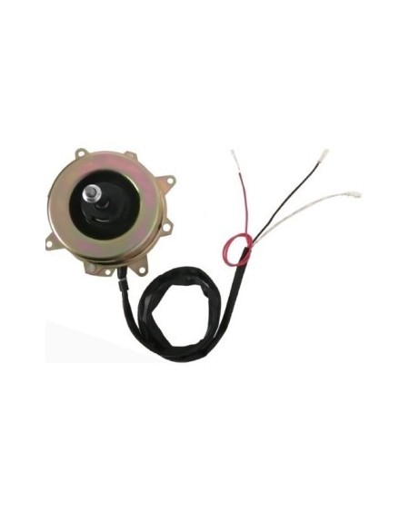 Motor Condensador CW 73W-220V-4 Polos